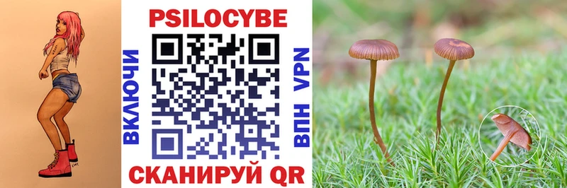 Галлюциногенные грибы Magic Shrooms  Купить  Безенчук 